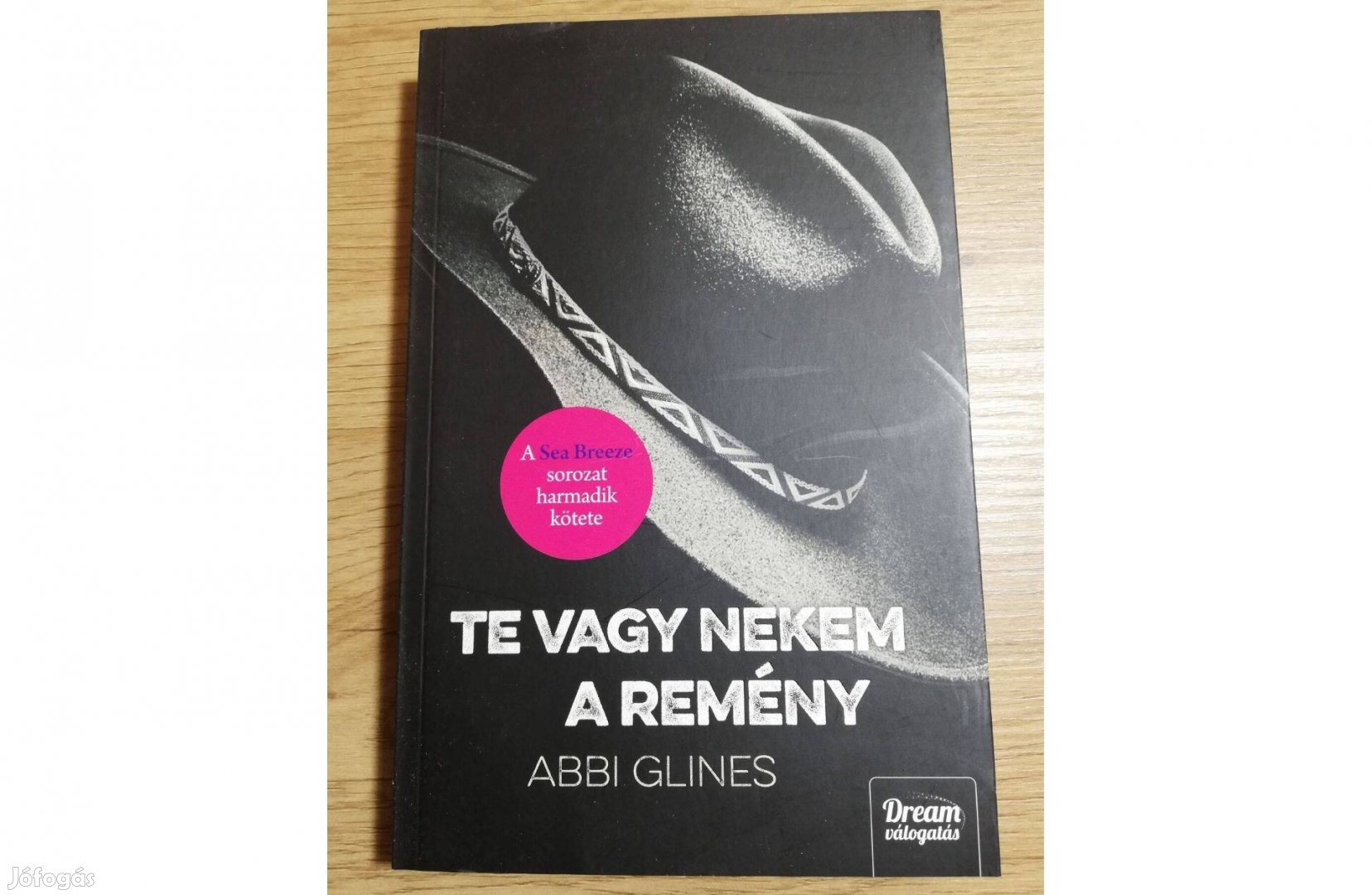 Abbi Glines: Te vagy nekem a remény