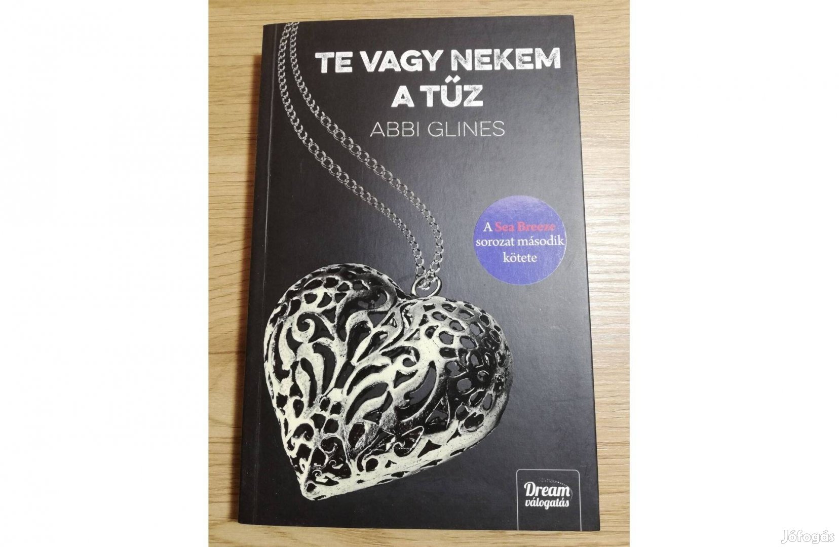 Abbi Glines: Te vagy nekem a tűz