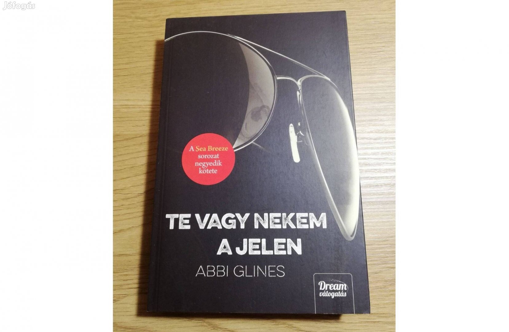 Abbi Glines : Te vagy nekem a jelen