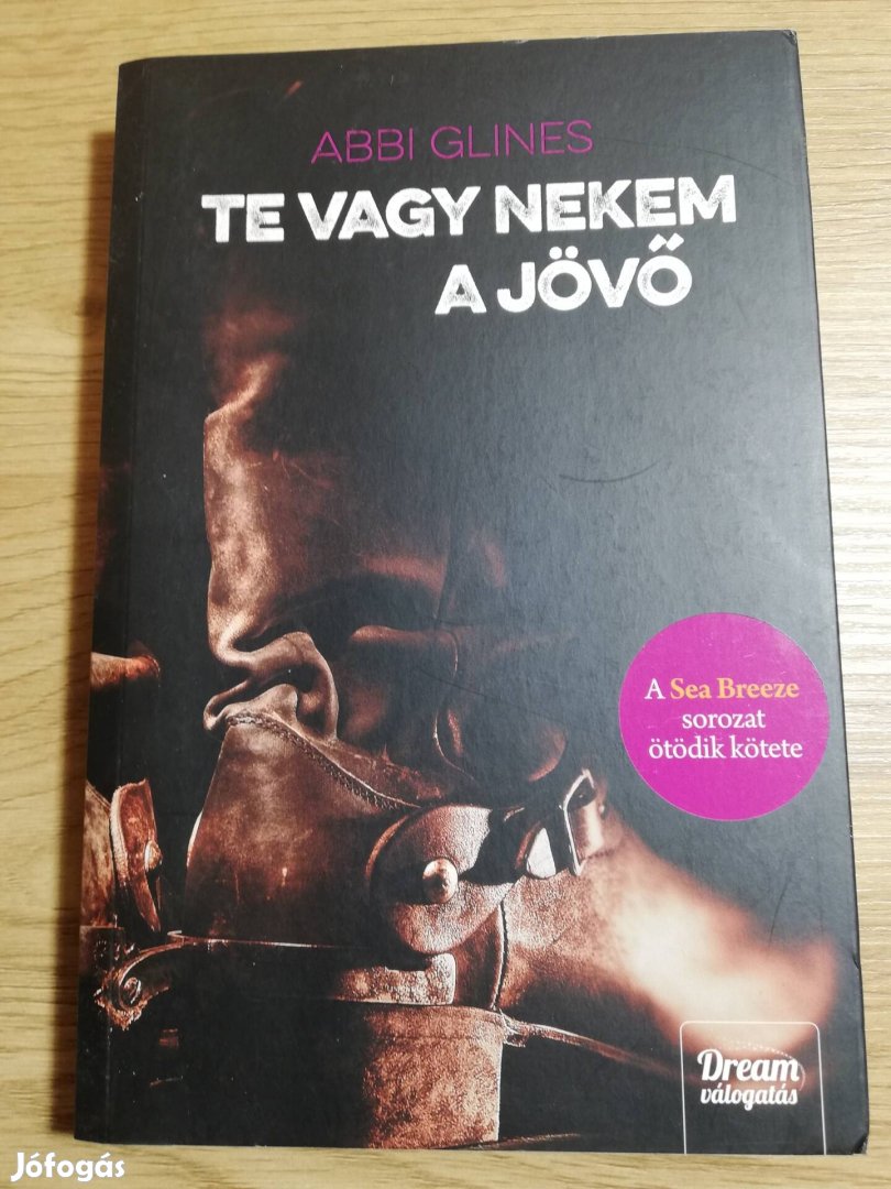 Abbi Glines : Te vagy nekem a jövő 