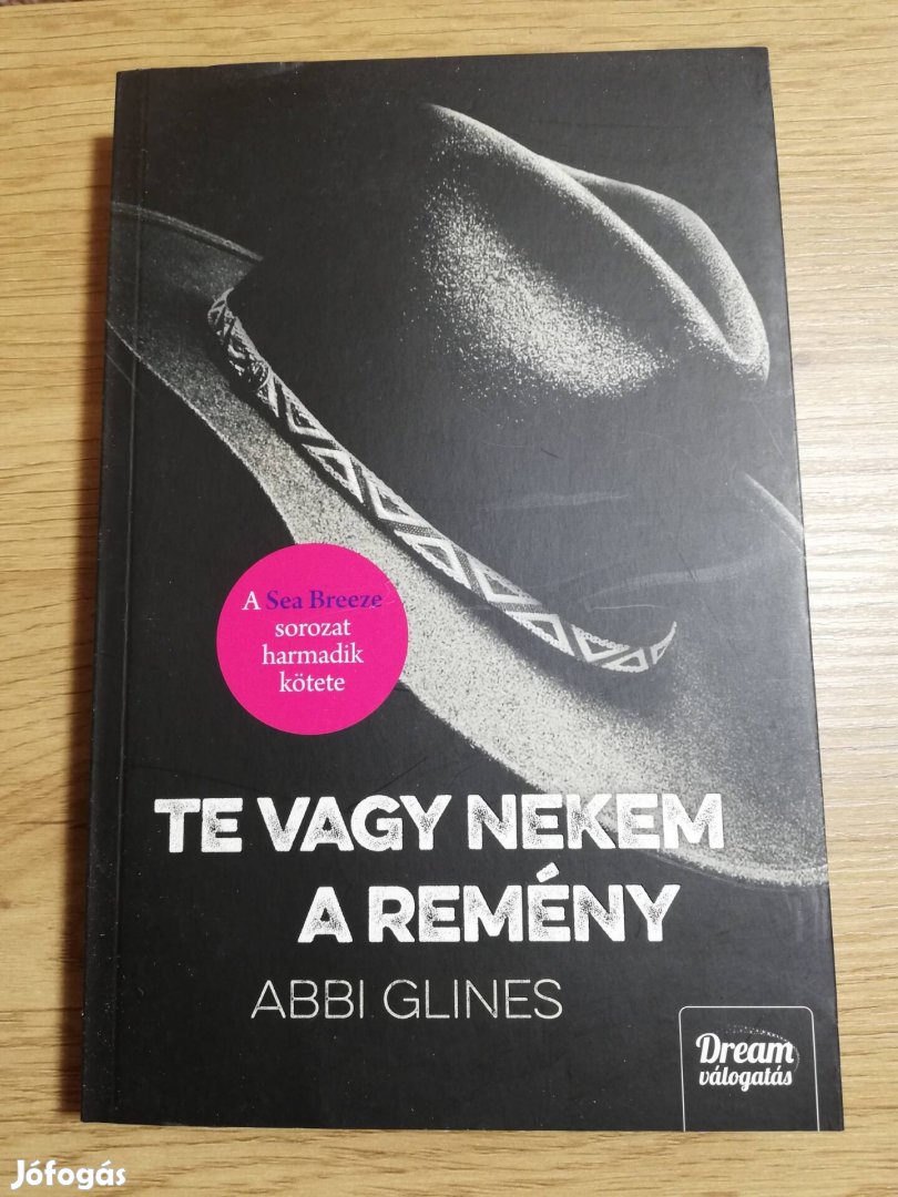 Abbi Glines : Te vagy nekem a remény 