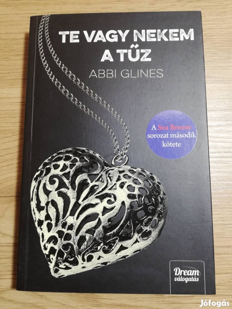 Abbi Glines : Te vagy nekem a tűz 