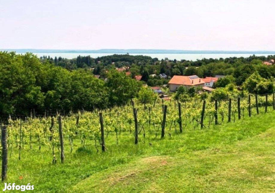 Ábrahámhegyen balatoni panorámás telek sürgősen eladó!