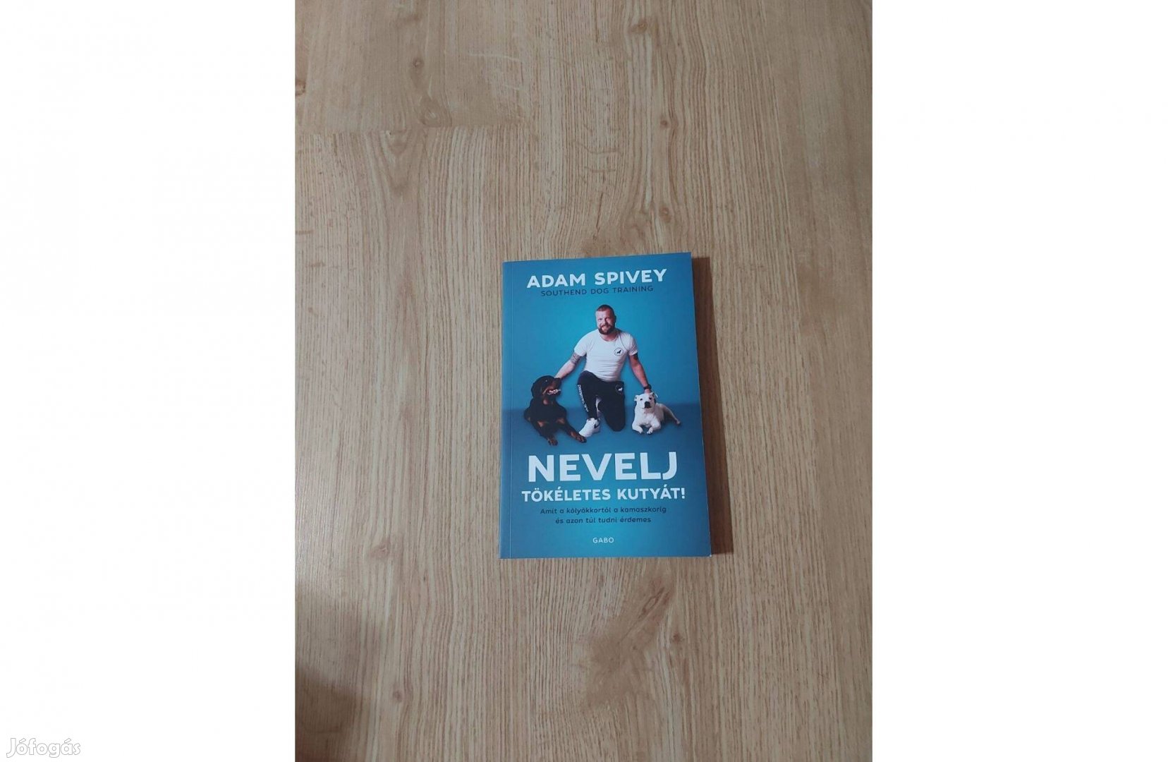 Adam Spivey: Nevelj tökéletes kutyát!
