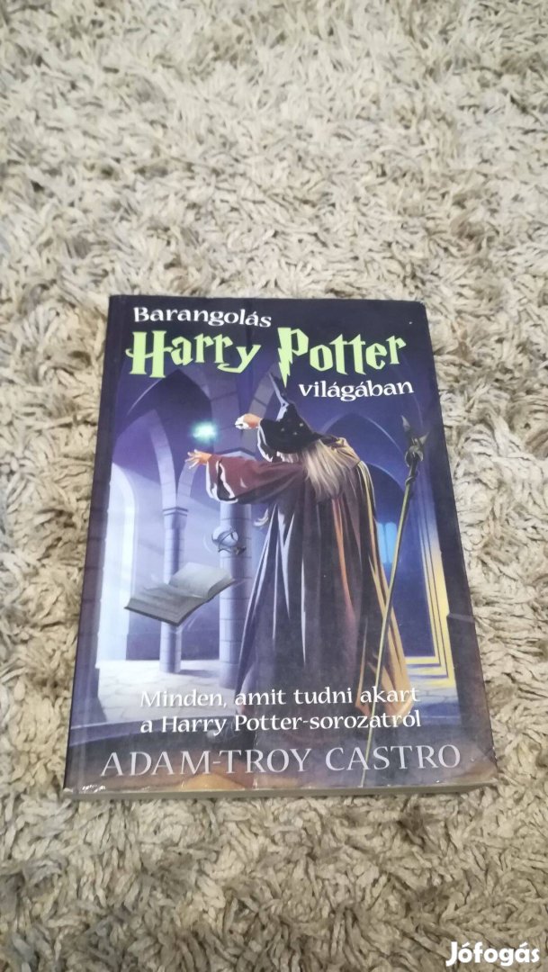 Adam-Troy Castro - Barangolás Harry Potter világában