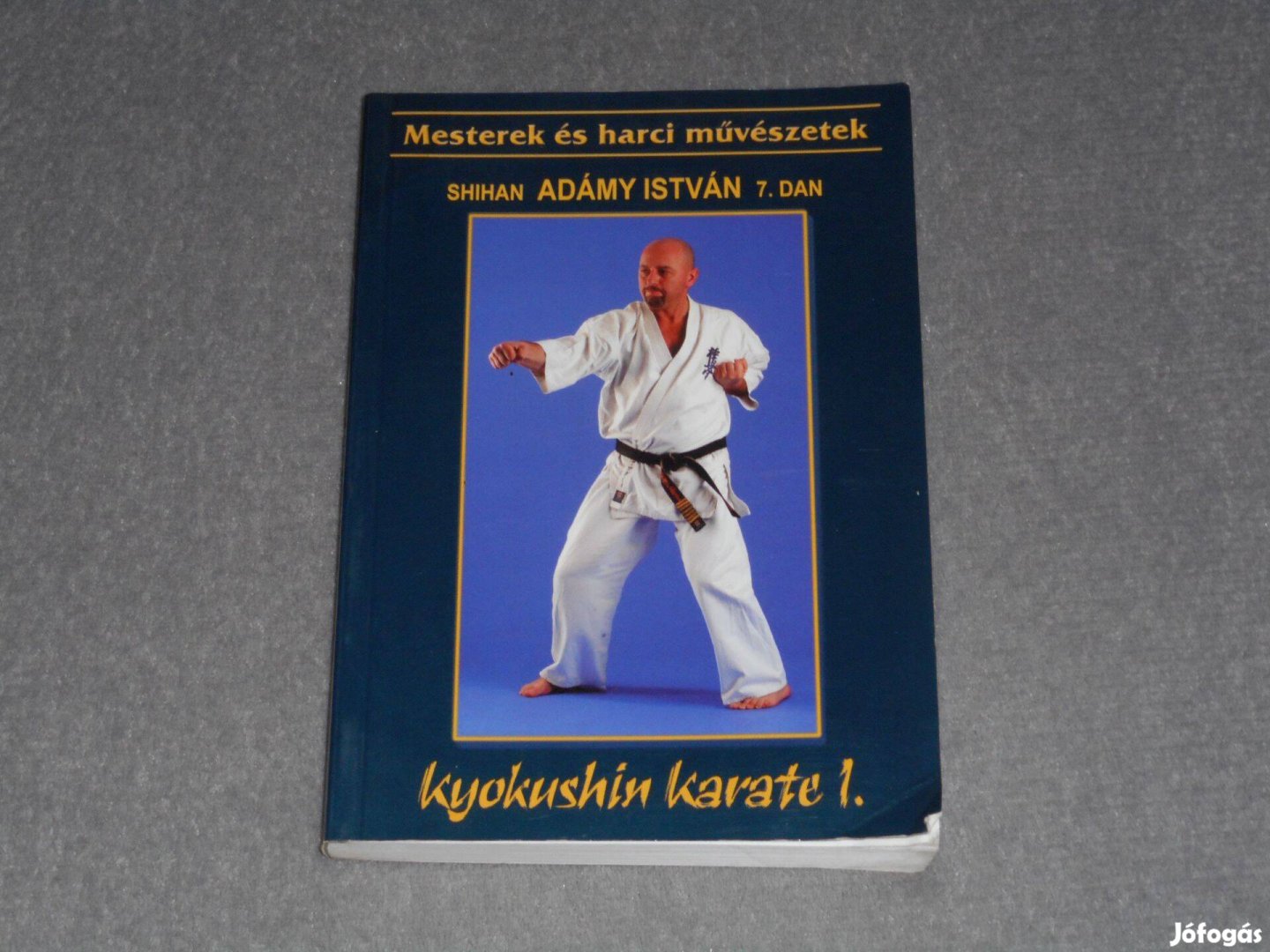 Adámy István - Kyokushin karate I. 1. - Mesterek és harci művészetek