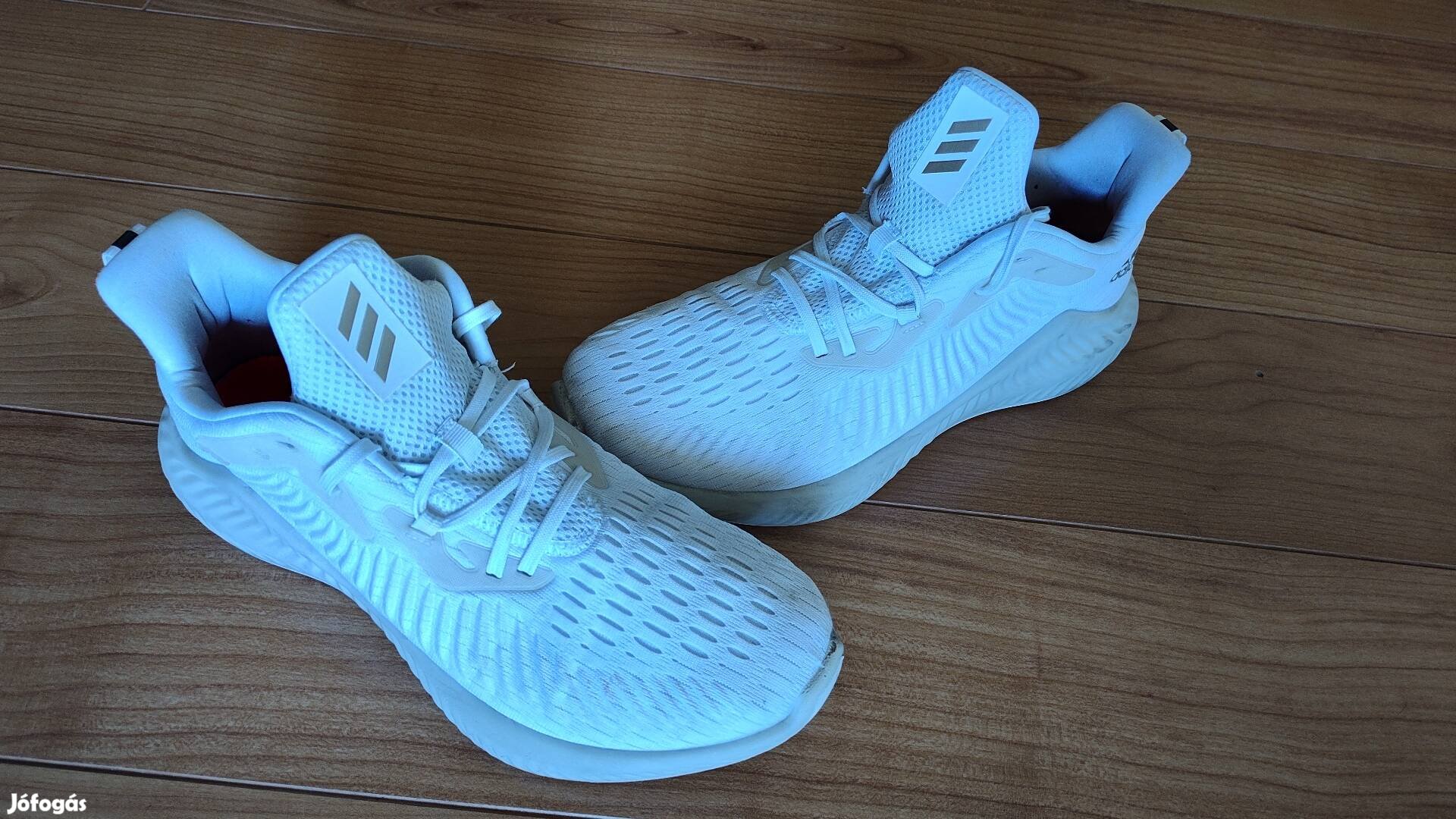 Adidas Alphabounce Plus EF1224 férfi cipő