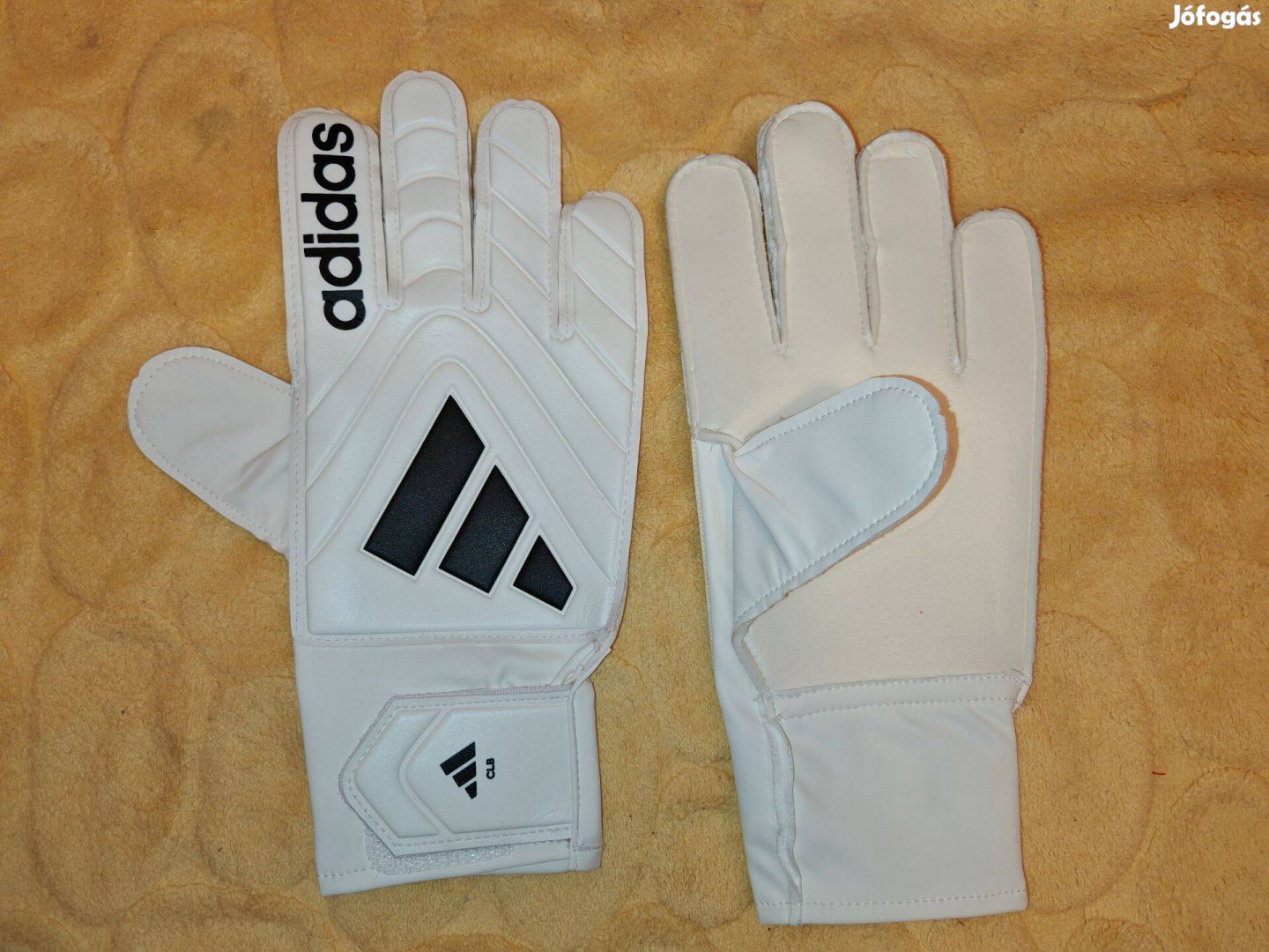 Adidas COPA GL CLB fehér fekete kapuskesztyű (8,9,10)