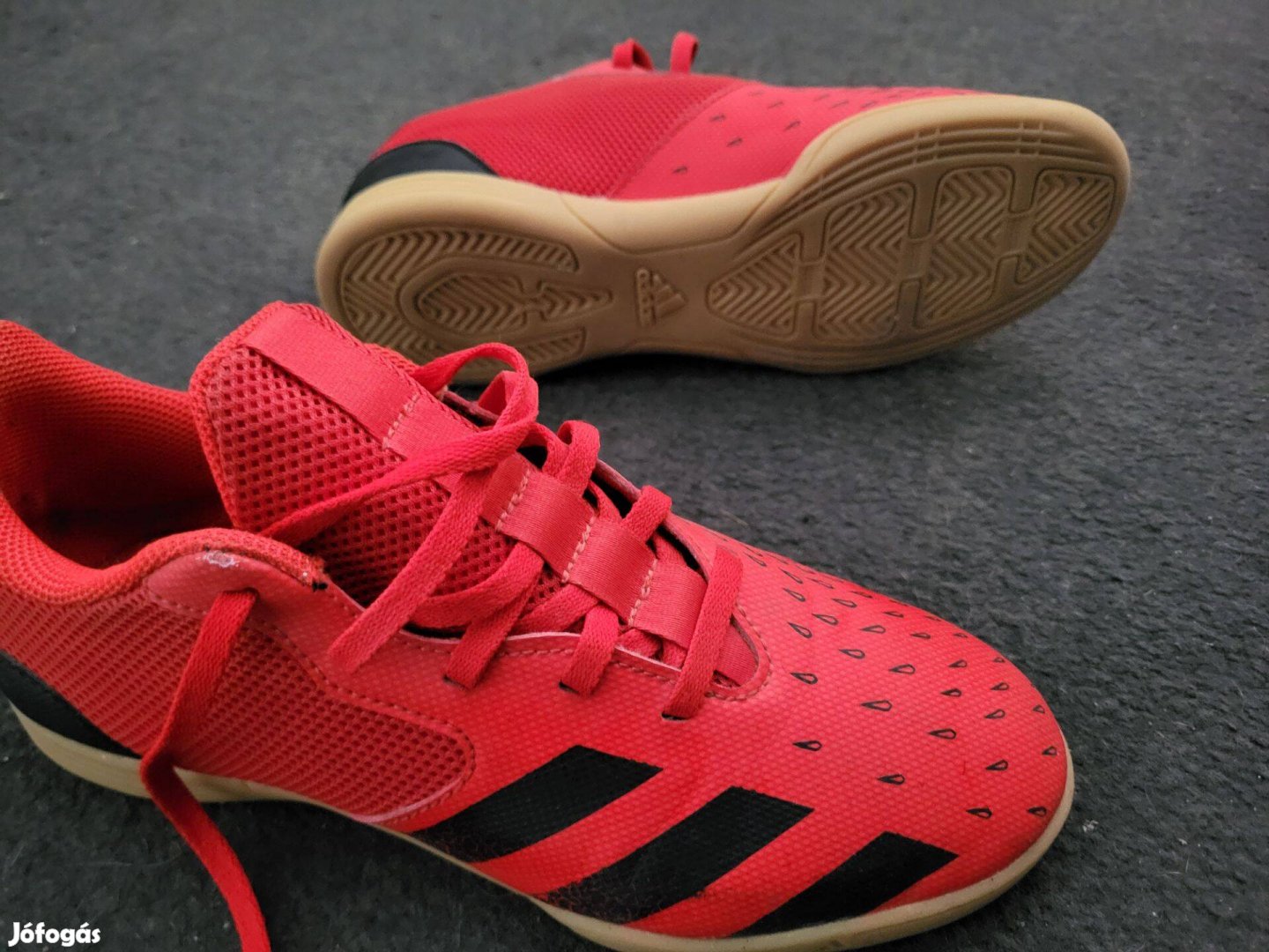 Adidas Predator Teremfoci cipő