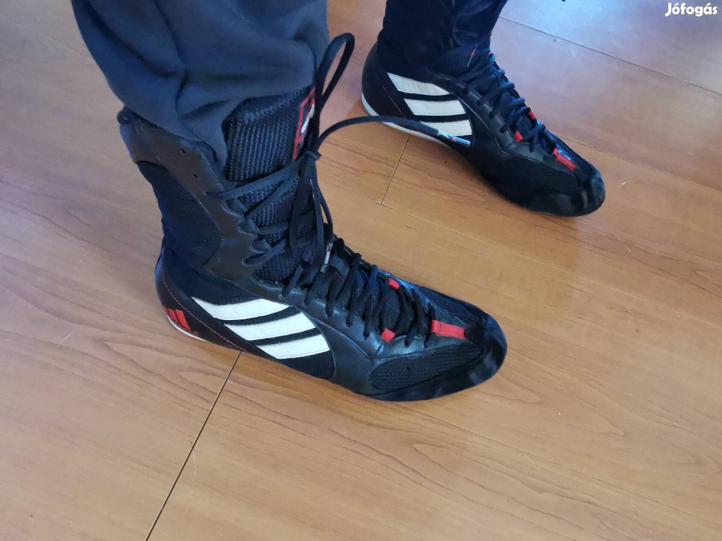 Adidas boksz cipő 
