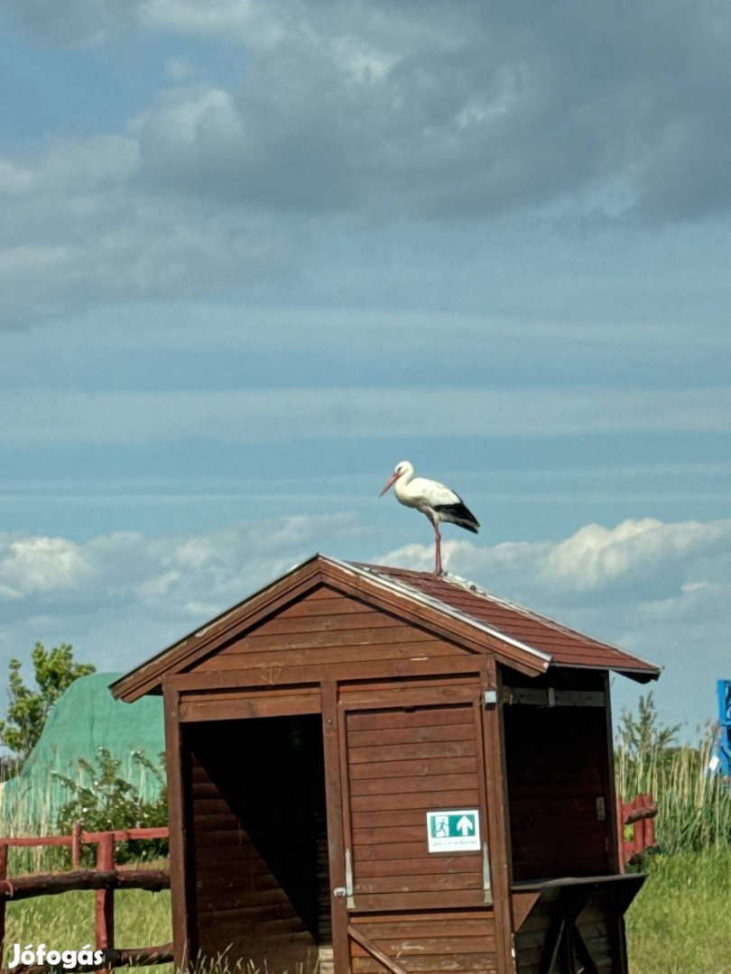 Adminisztrációs munkatárs
