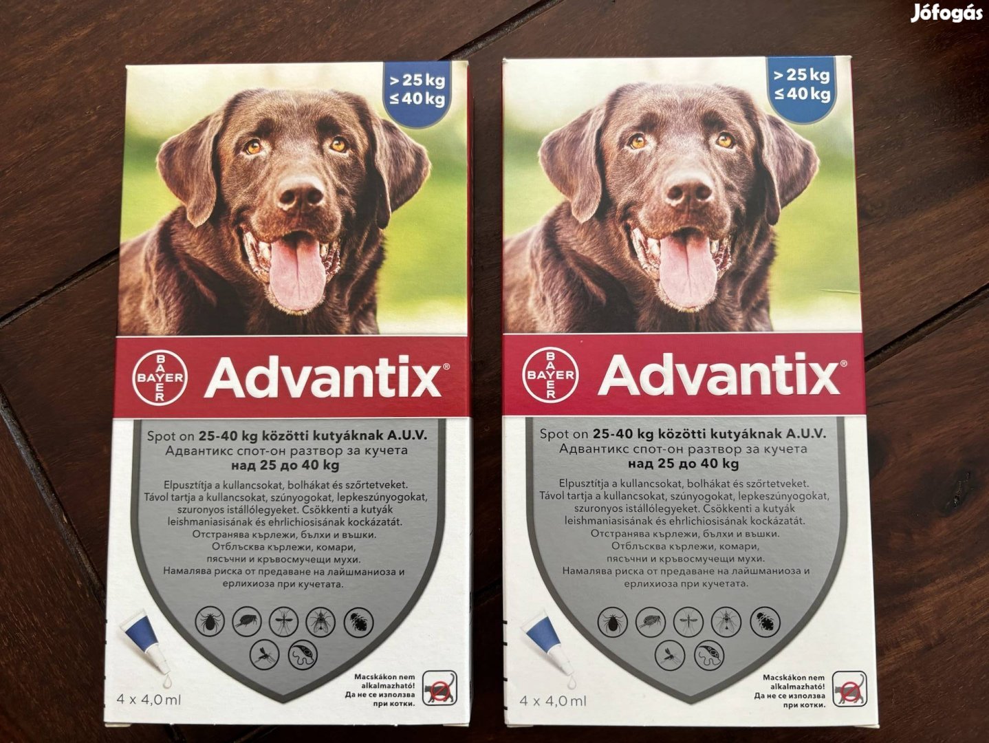 Advantix spot on oldat 25-40 kg közötti kutyának