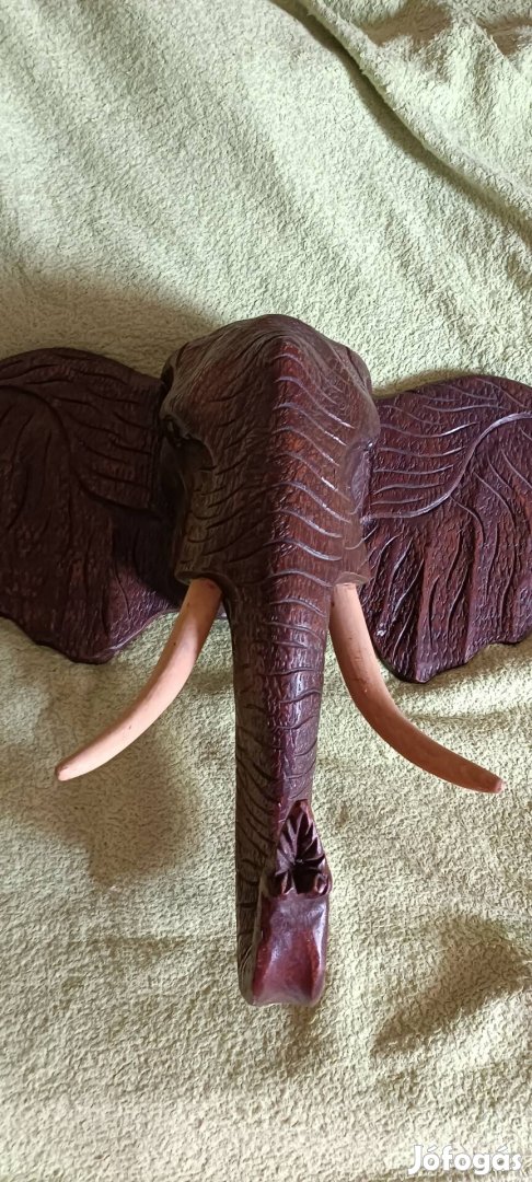 Afrikai Elefantfej faból