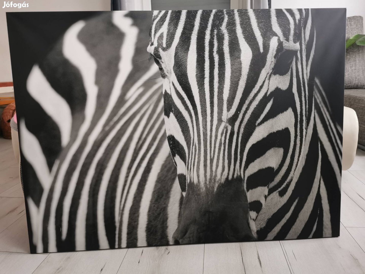 Afrikai zebrás kép 