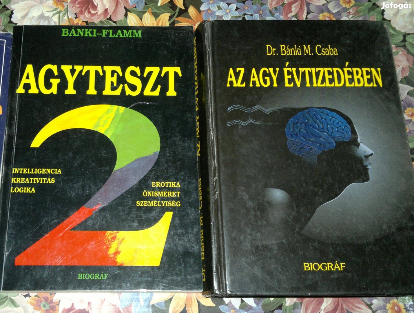 Agyteszt + Az agy évtizedében=könyvcsomag