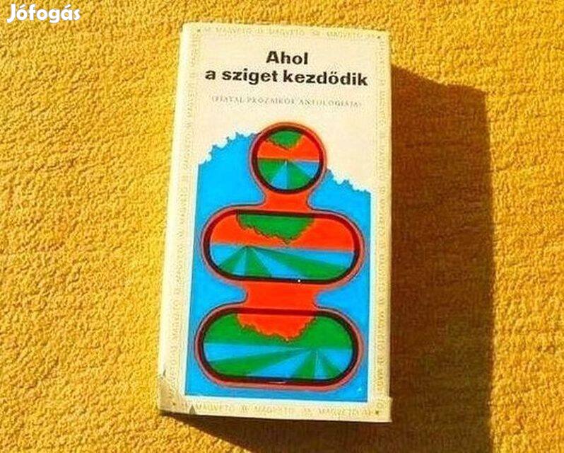 Ahol a sziget kezdődik - Vilmon Gyula