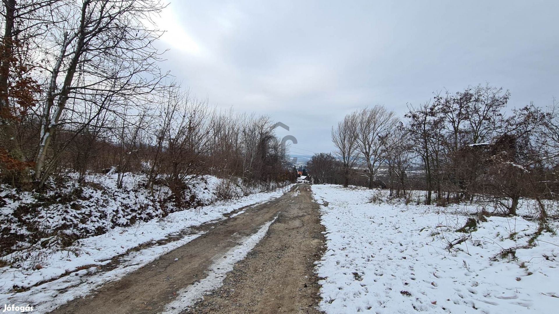 Ajka-Padragkúton belterületi telek eladó.