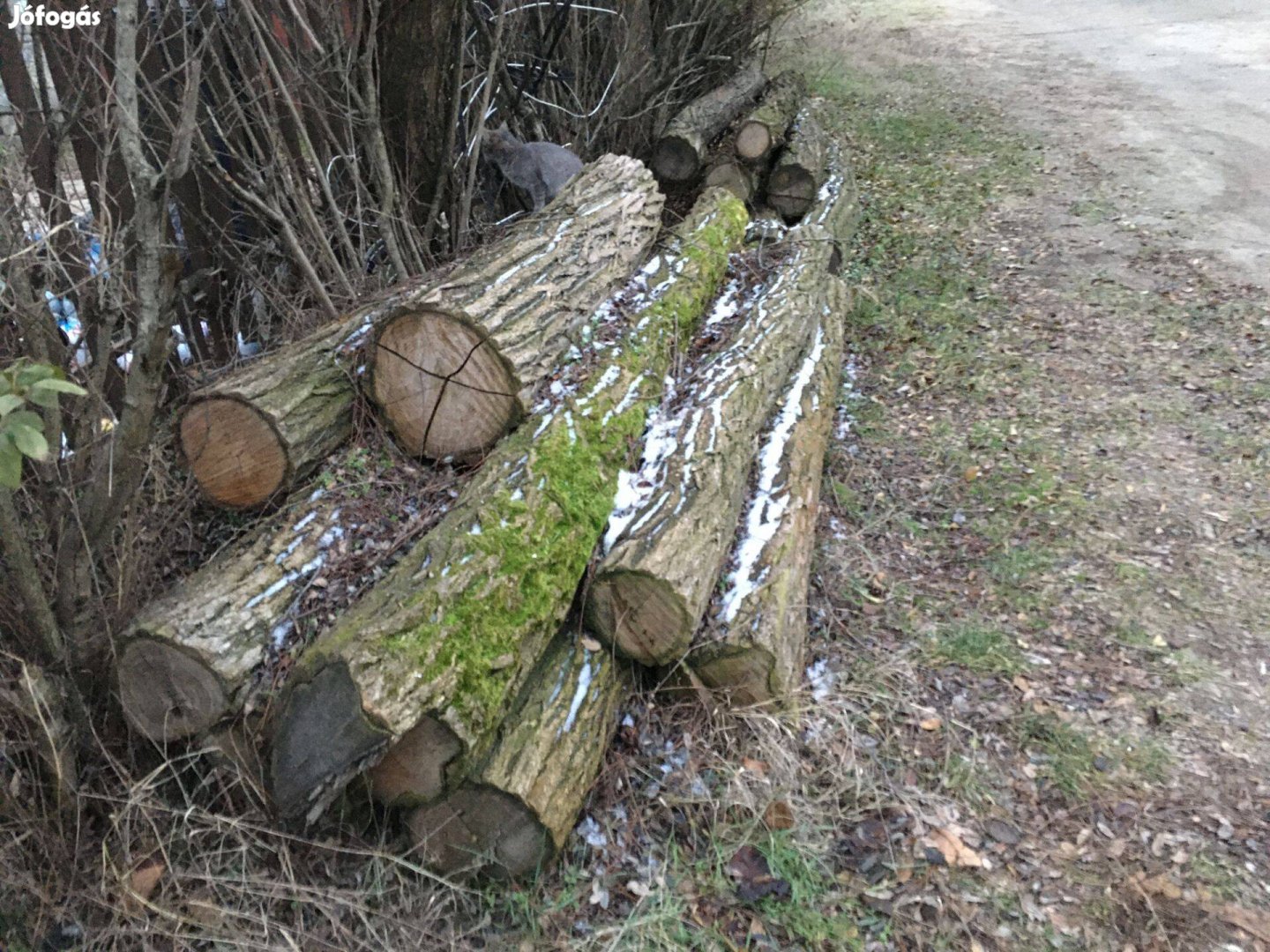 Akác rönkök eladók Dunaföldváron