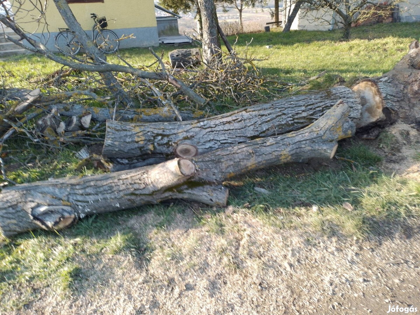 Akár butornak, akár tüzelönek felhasználható.