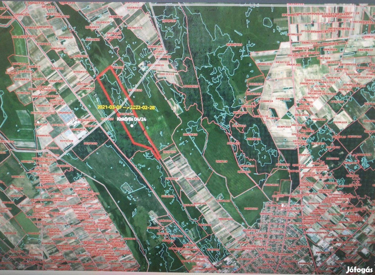 Akasztó és Kiskőrös határában 97,5 Ha legelő, rét, eladó!