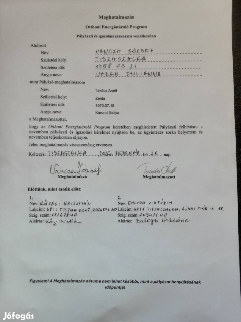 Akció! Gigant gojibogyó csemeték,más kertben teremnének!