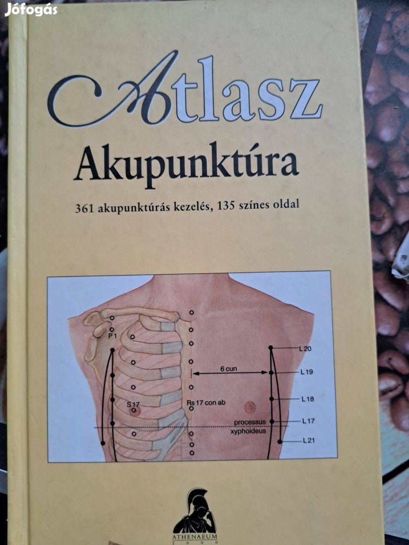 Akupunktúra SH atlasz