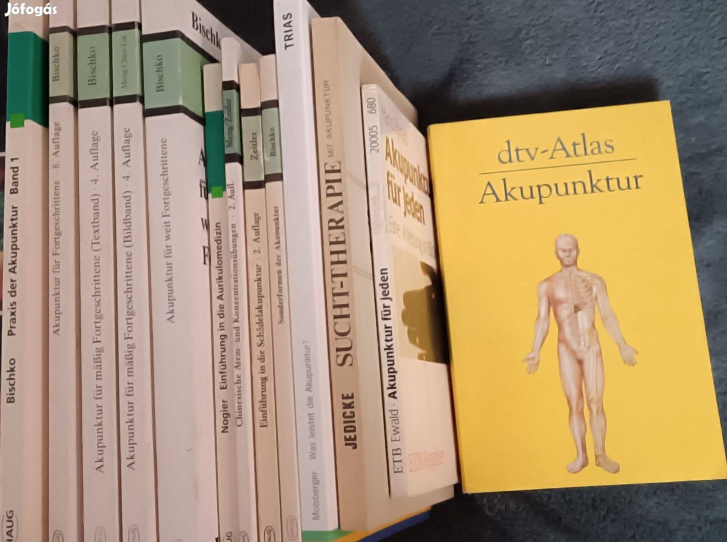 Akupunktura atlasz dtv-Atlas Akupunktur