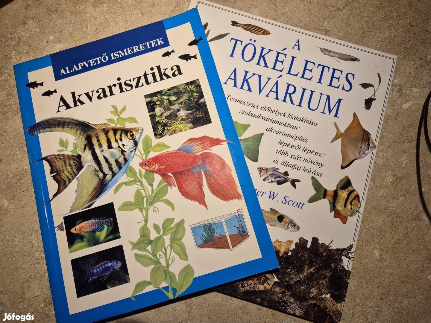 Akvarisztika, A tökéletes akvárium