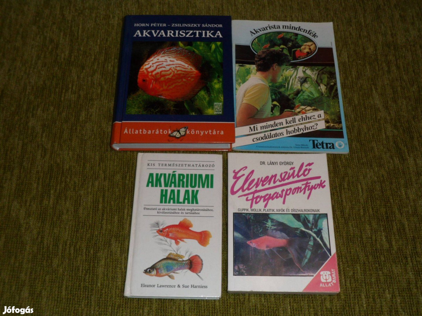 Akvarisztika Akváriumi halak Elevenszülő fogaspontyok