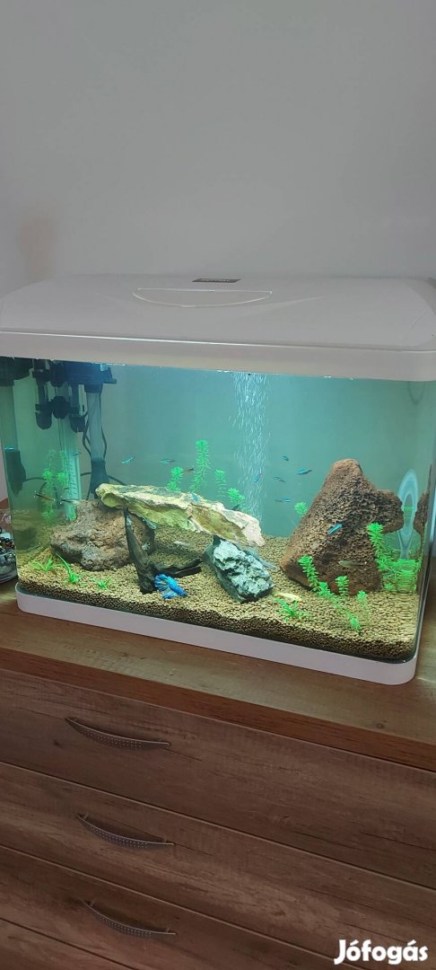 Akvárium Easy tank Pro Led