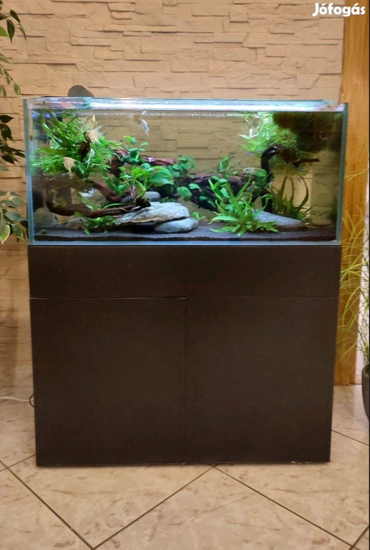 Akvárium és bútor