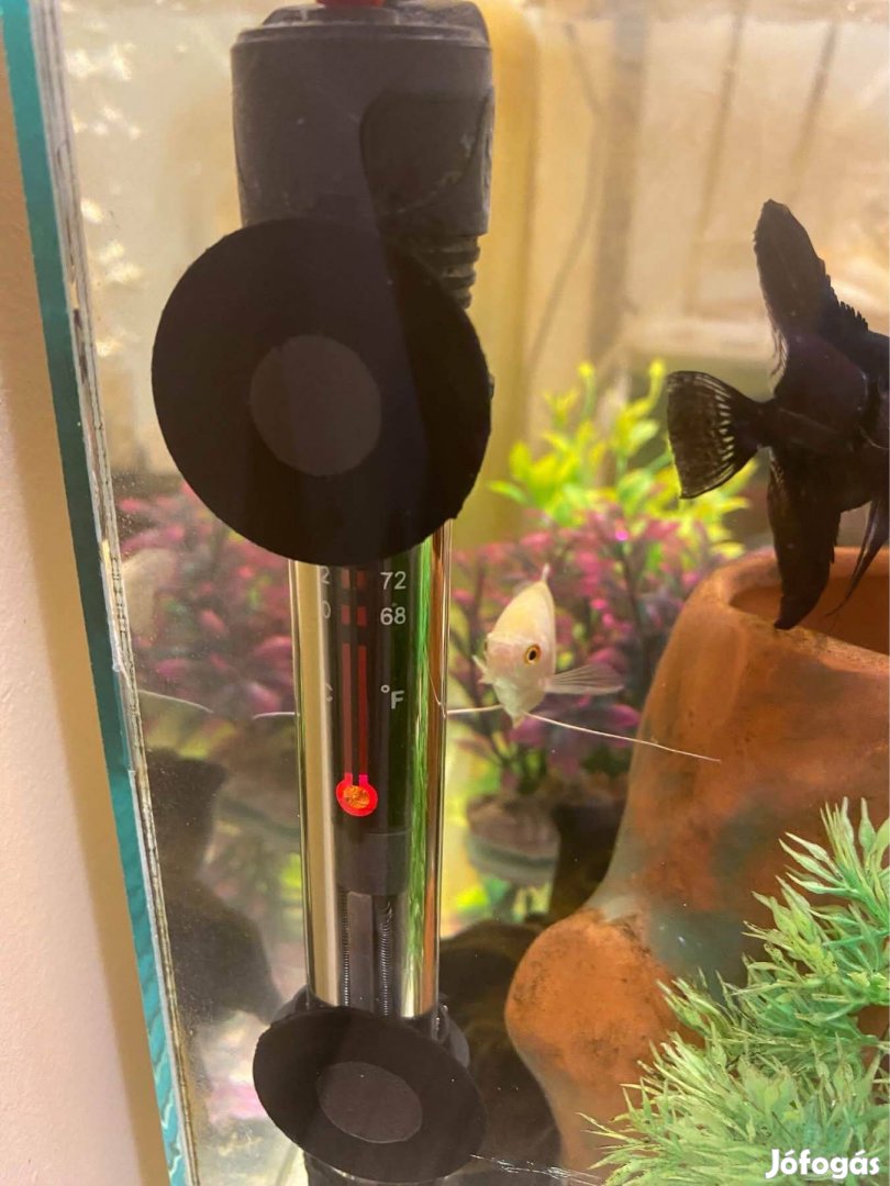 Akvárium teljes berendezéssel
