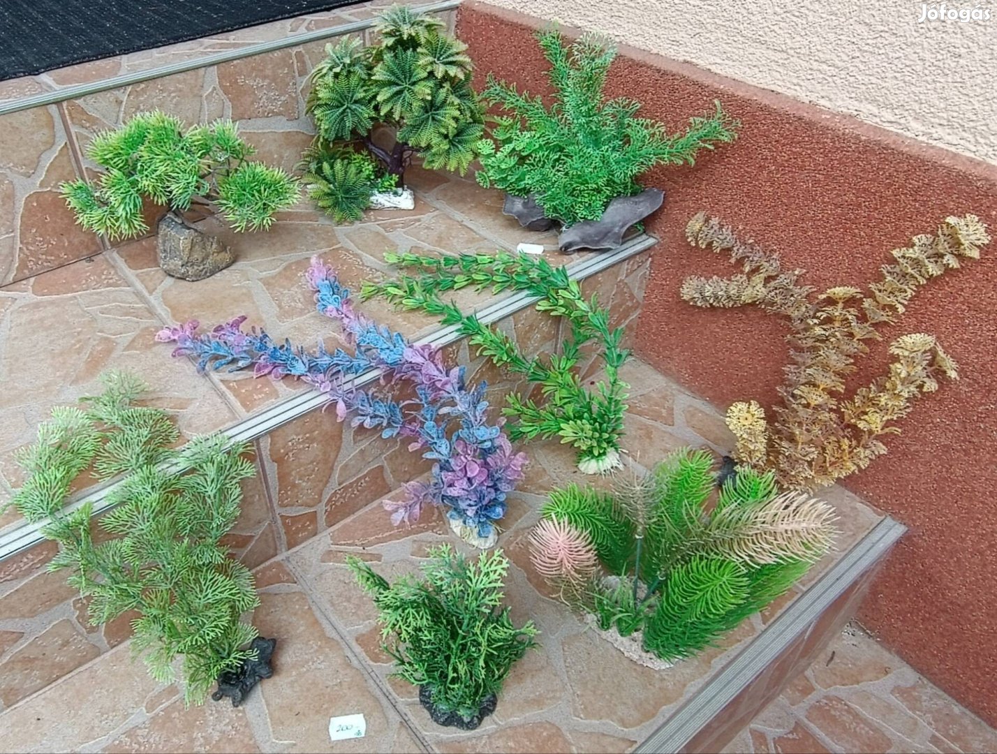 Akváriumi vizi mű növény dísznövény