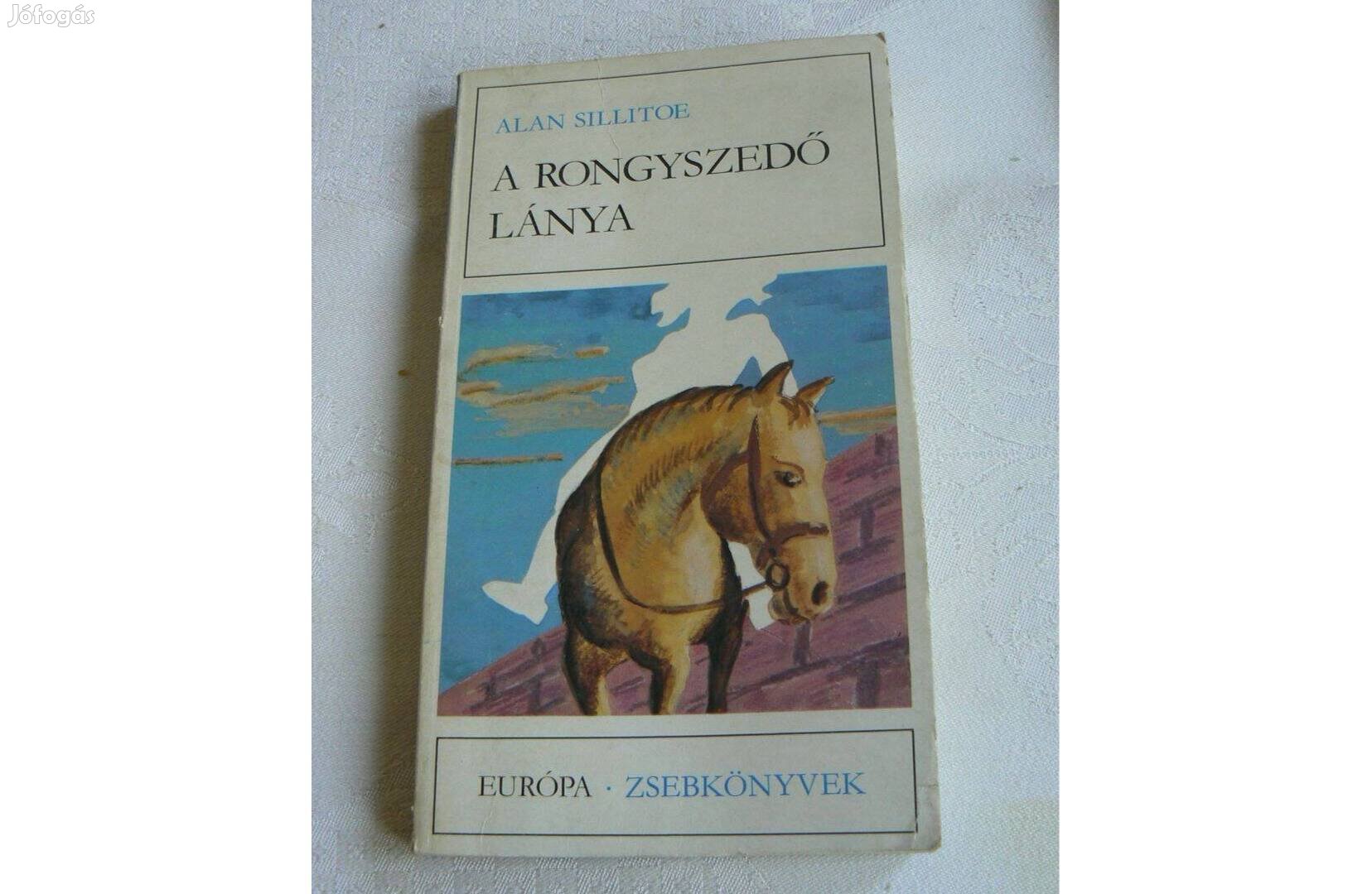 Alan Sillitoe : A rongyszedő lánya