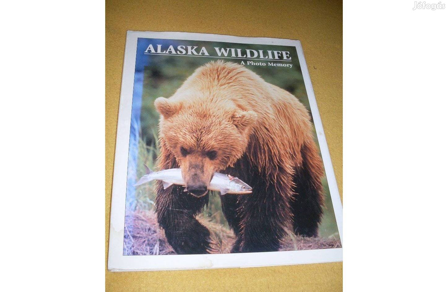 Alaska Wildlife angol nyelvű képeskönyv