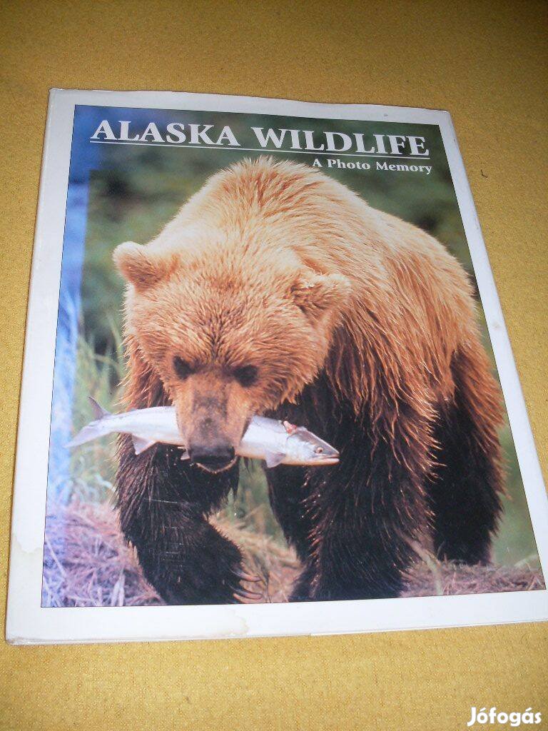 Alaska Wildlife angol nyelvű képeskönyv