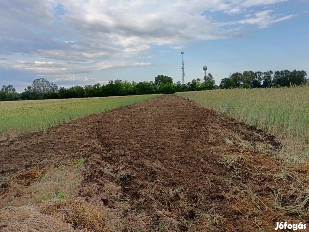 Albertirsa, Lakott utcához közel, 2074m2-es szántó eladó utca, 1308