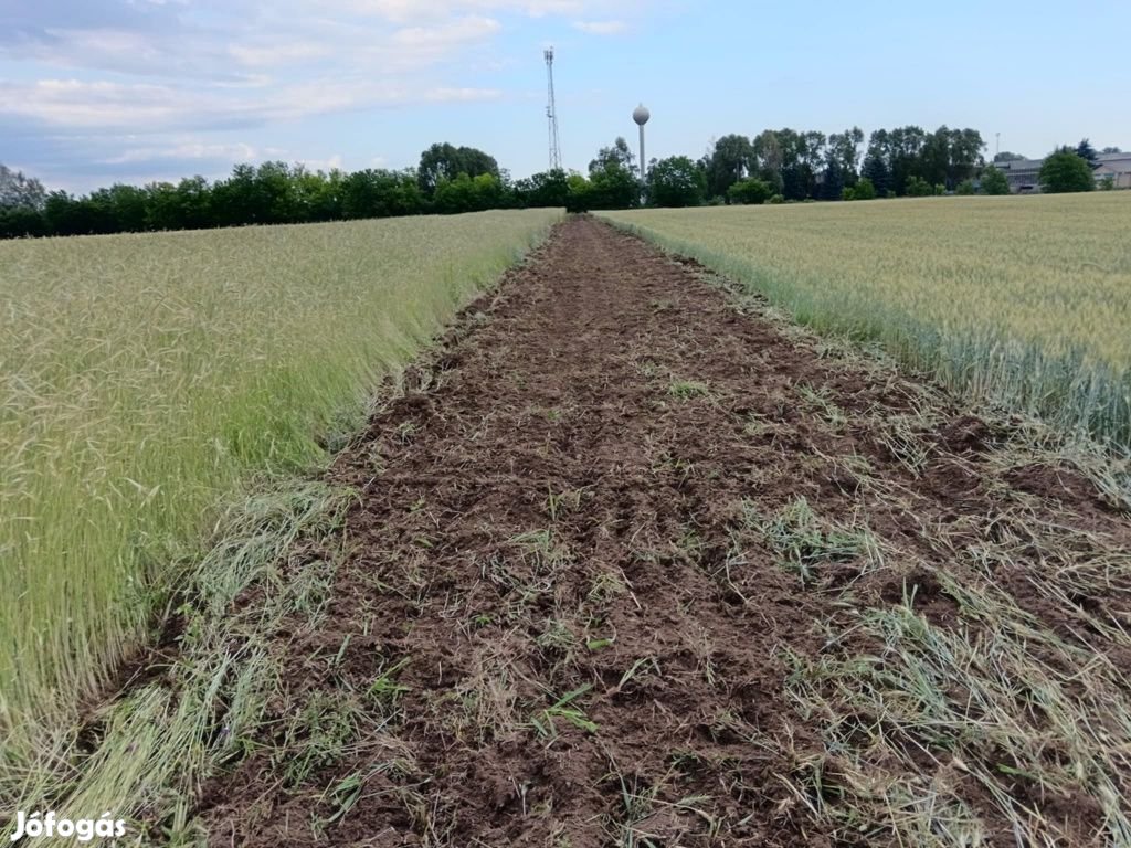 Albertirsa, Lakott utcához közel, 2074m2-es szántó eladó utca, 2074