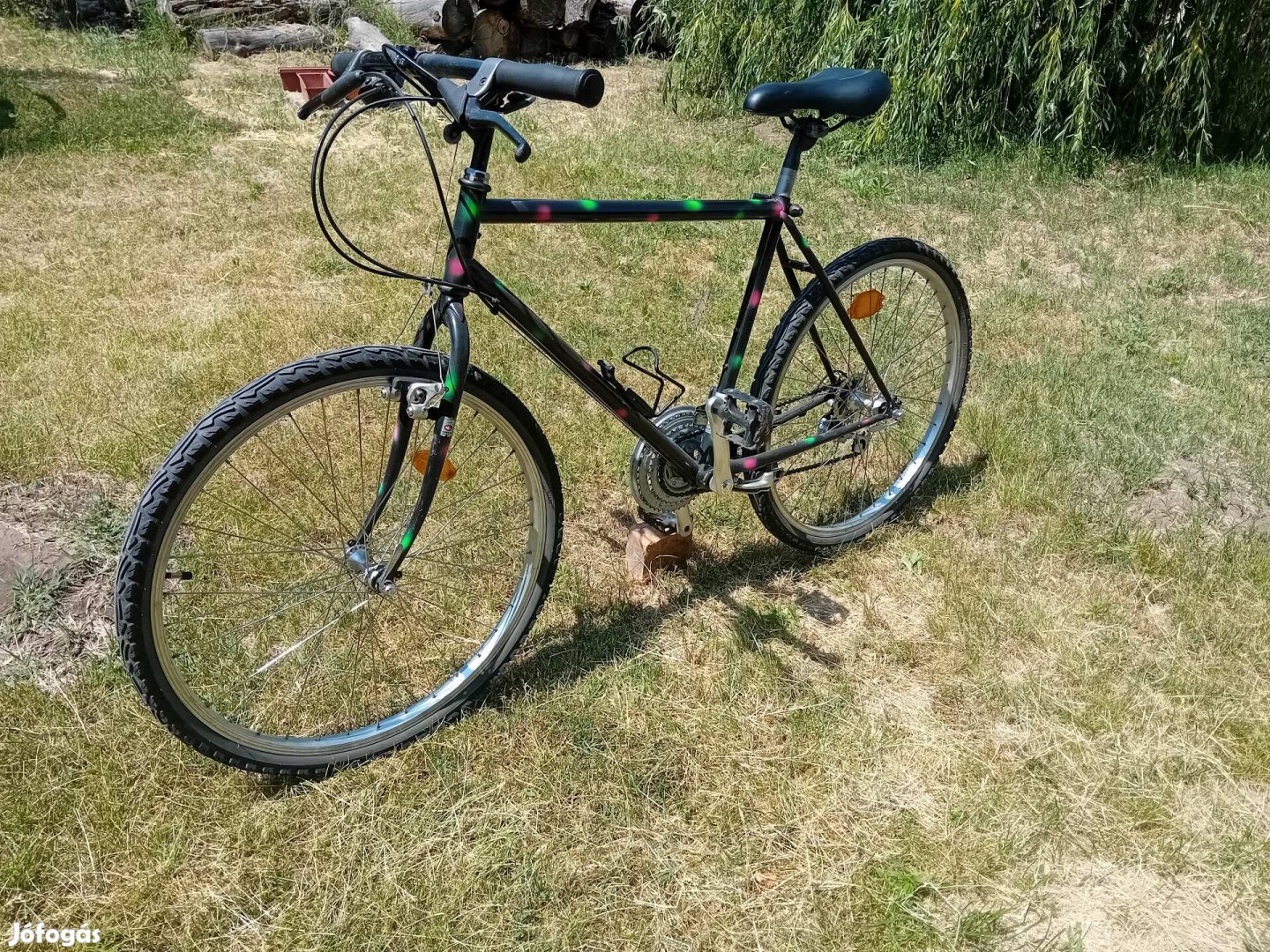 Albuch Kotter mtb