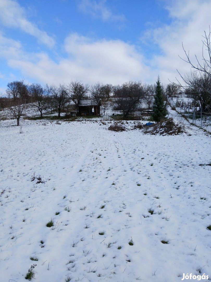 Alcsútdobozon eladó tanyának való panorámás zártkert sok extrával!