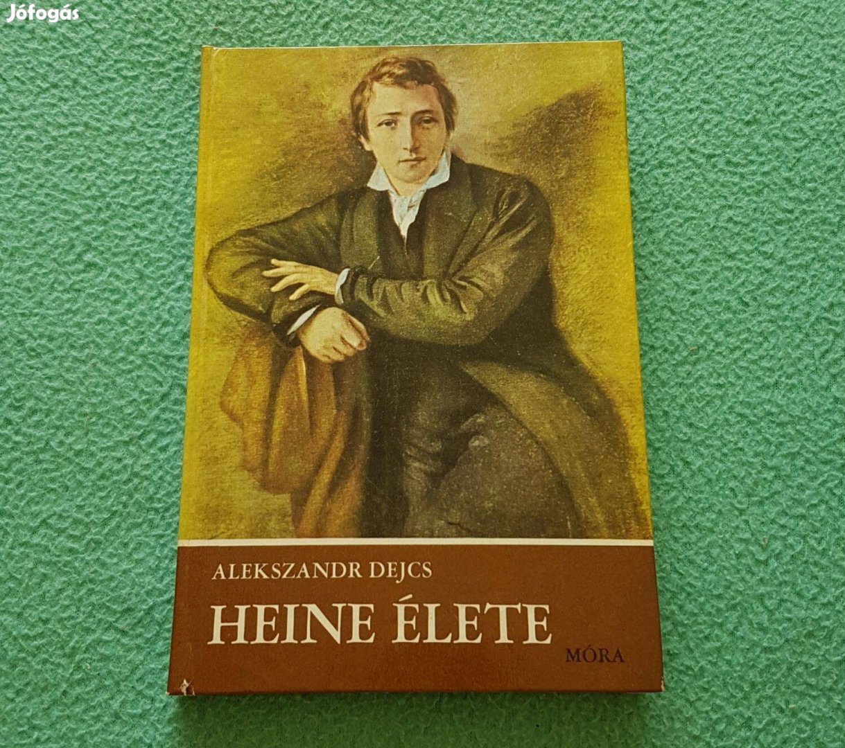 Alekszandr Dejcs - Heine élete könyv