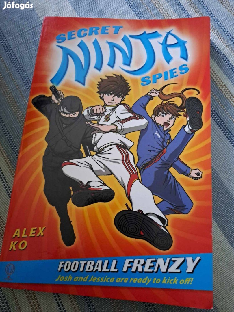 Alex Ko - Secret Ninja Spies