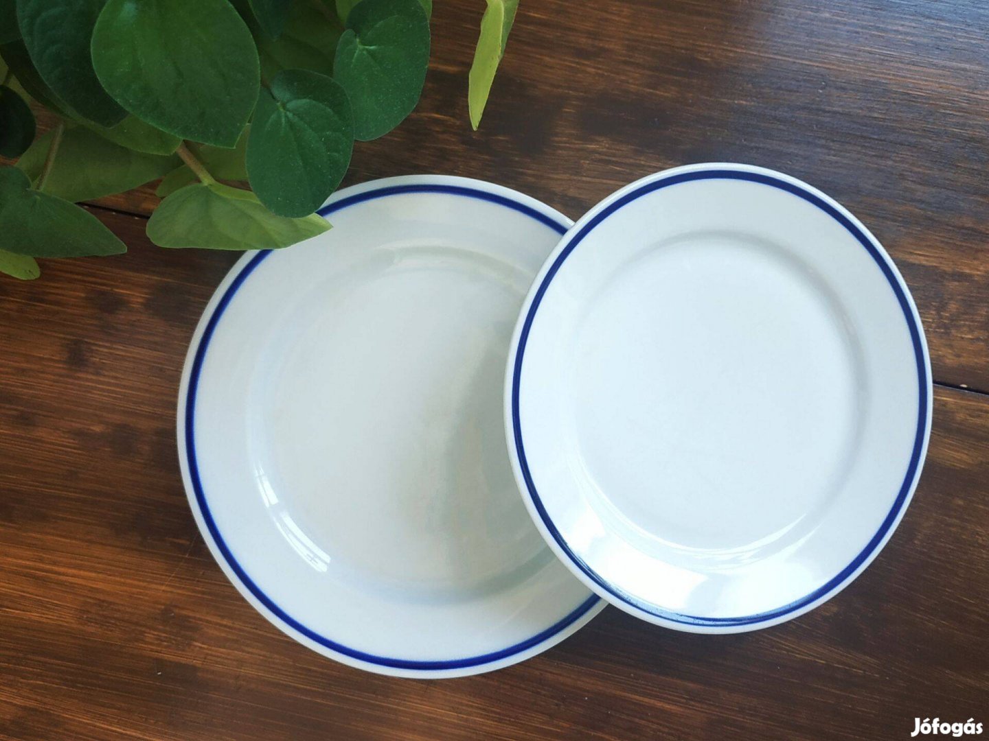 Alföldi porcelán - csíkos tányér szett (2 darab)