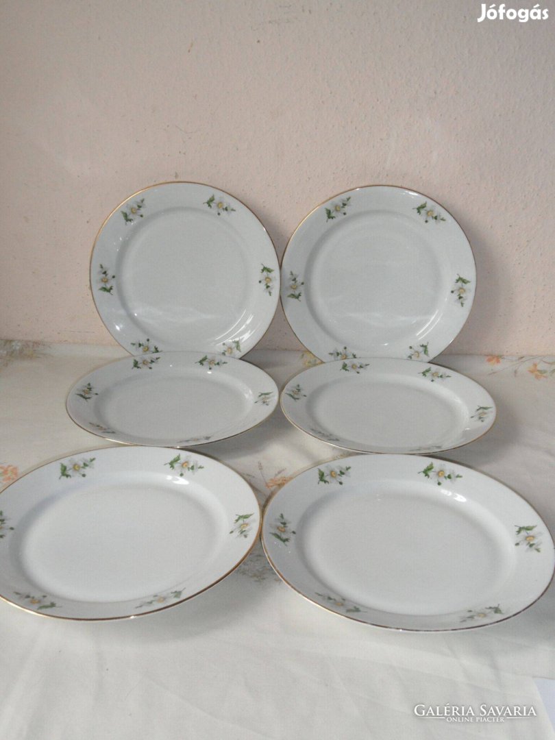 Alföldi porcelán margaréta mintás lapostányér ( 6 db. )