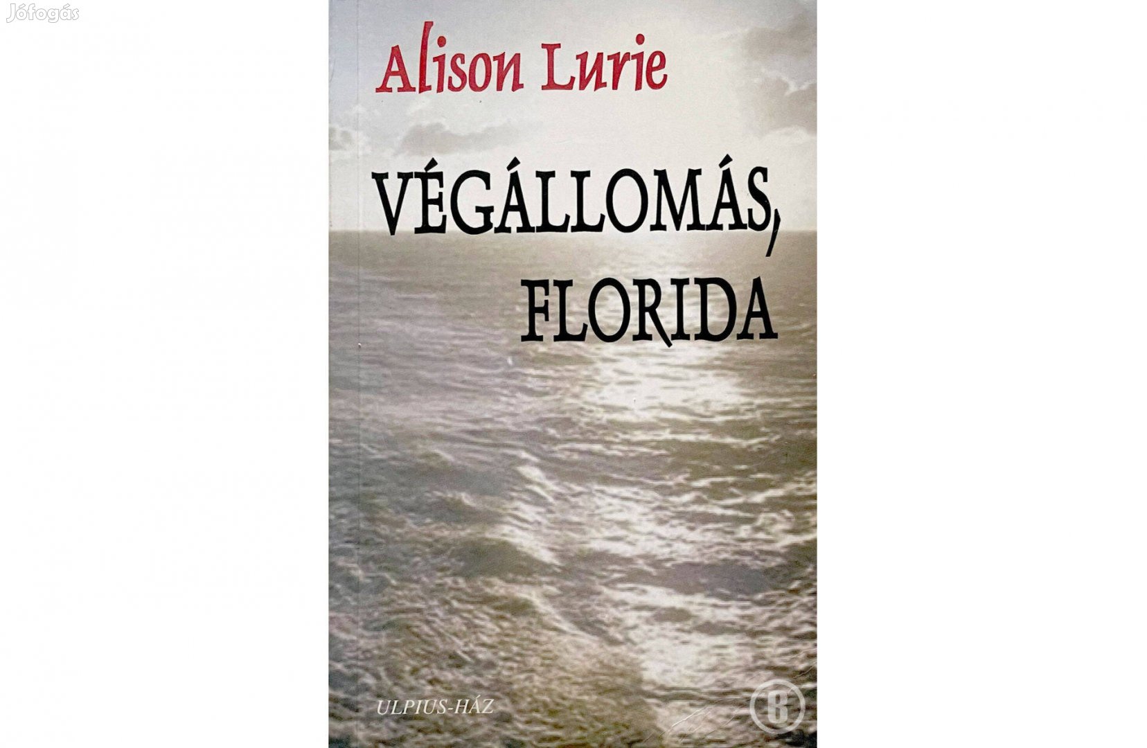 Alison Lurie: Végállomás, Florida