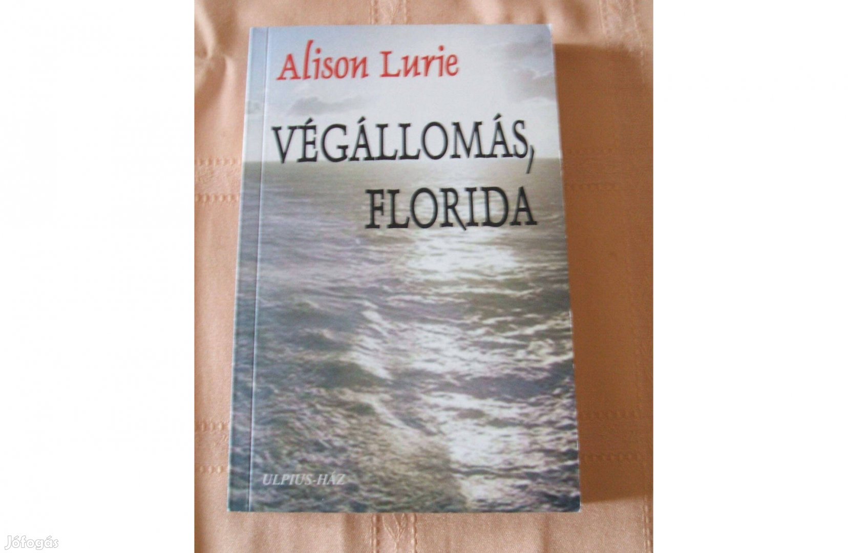 Alison Lurie - Végállomás, Florida