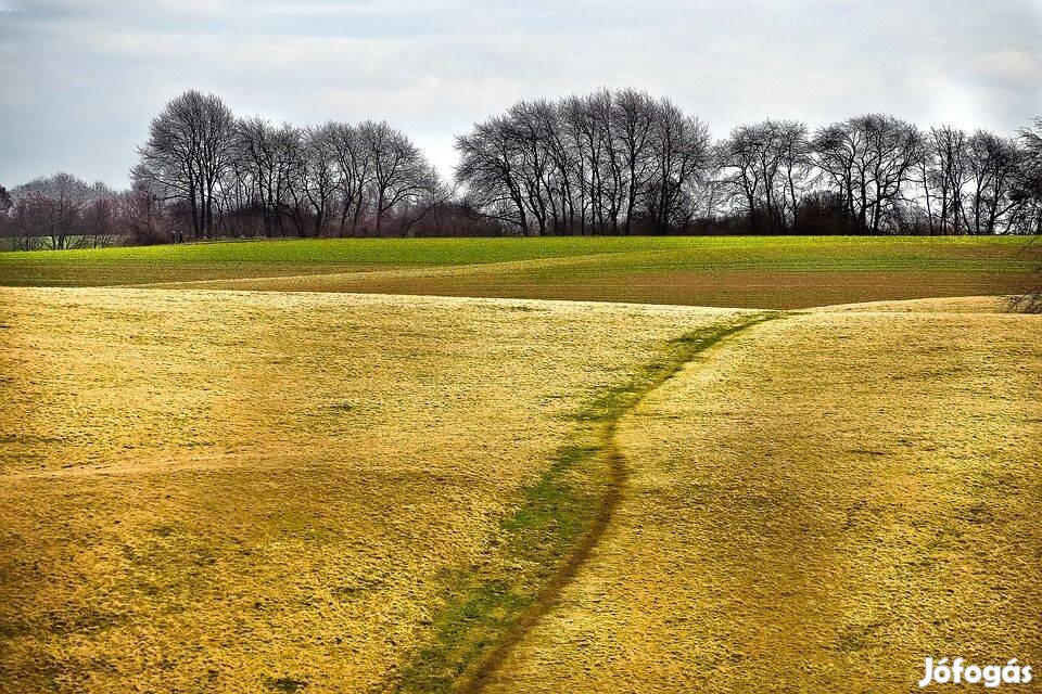 Alkalmi részmunkaidős munka Székesfehérvár