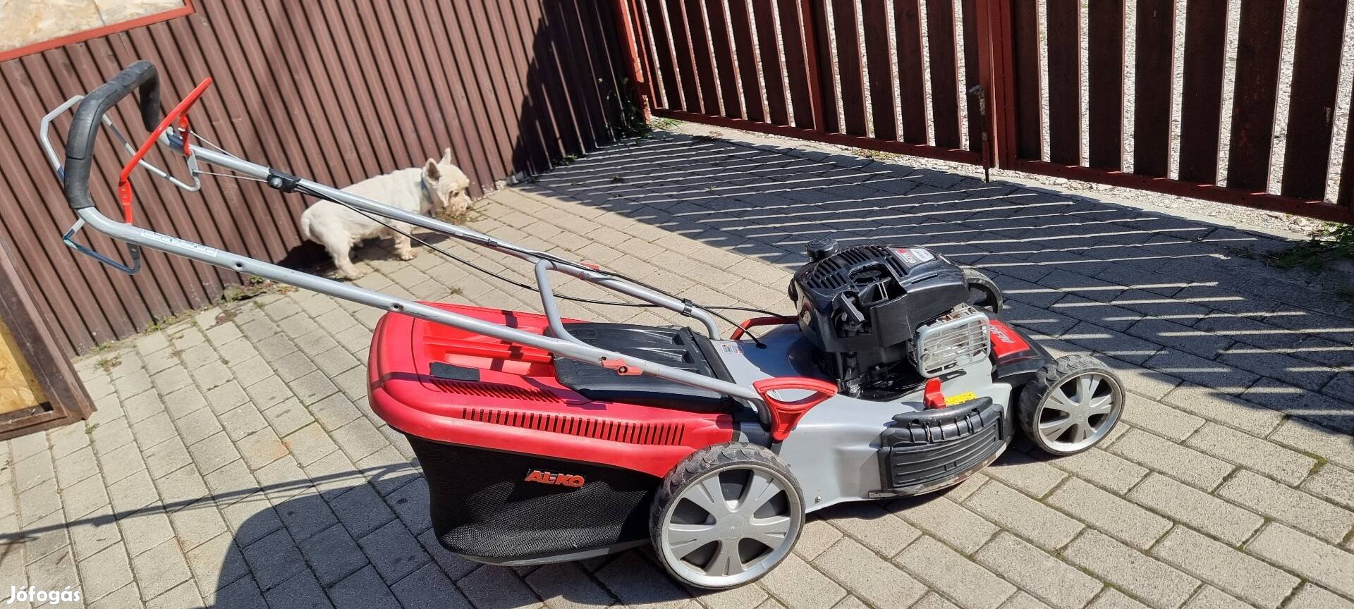 Alko 520 BR Premium Briggs&Stratton benzines önjáró fűnyíró 2020-as