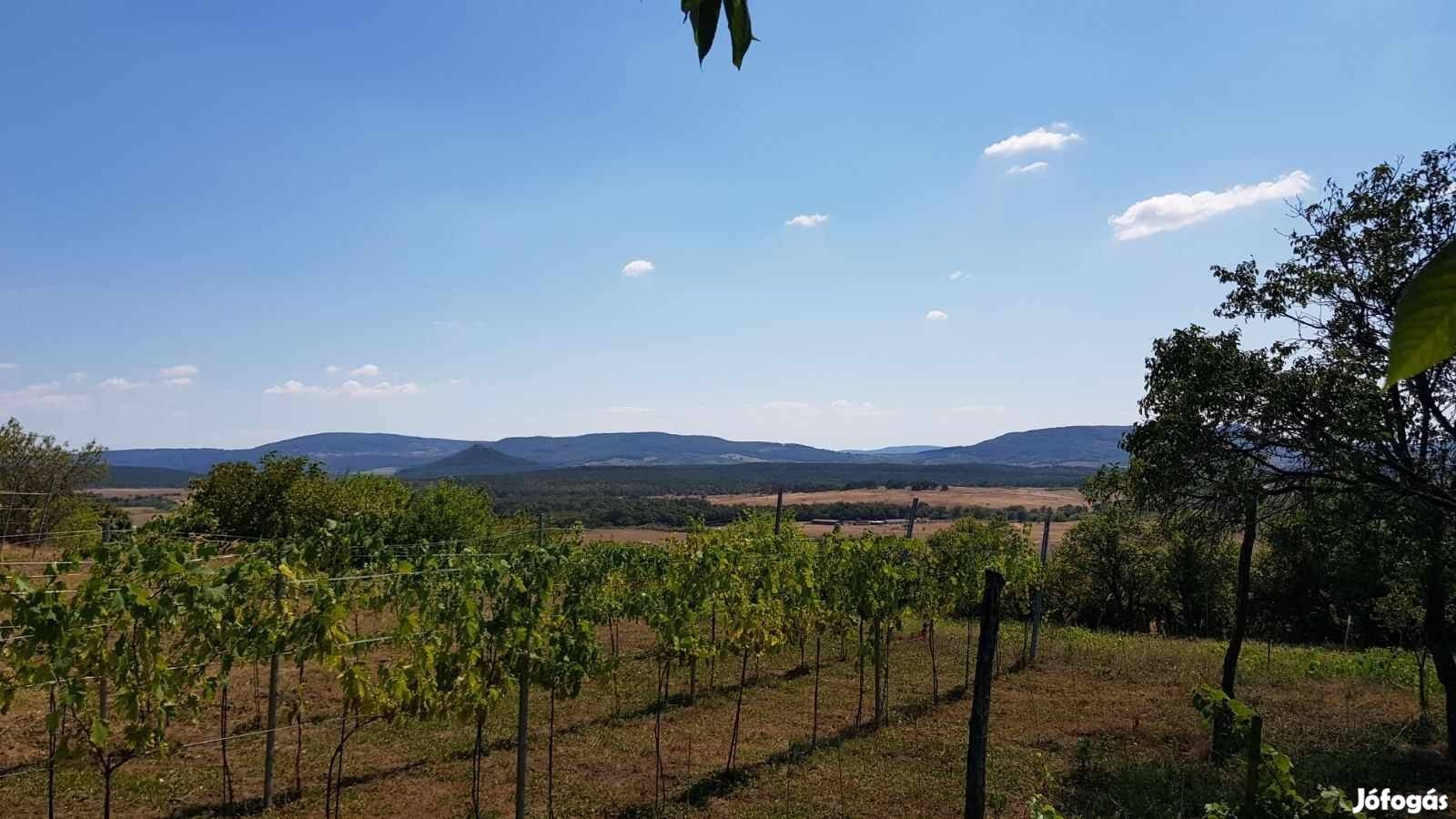 Alkuképes! Veszprém megyében, a Balatontól nem messze nyaraló telek