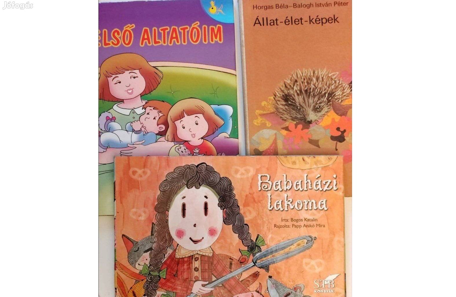 Állat-élet-képek, Babaházi- Képes lapozgató, leporelló